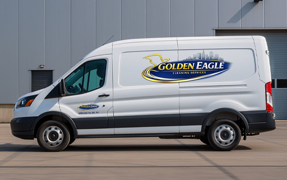 golden eagle